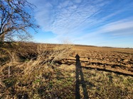 Samsung Galaxy S21 FE