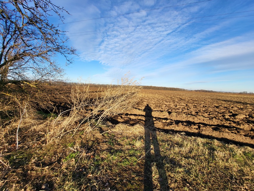 Samsung Galaxy S21 FE