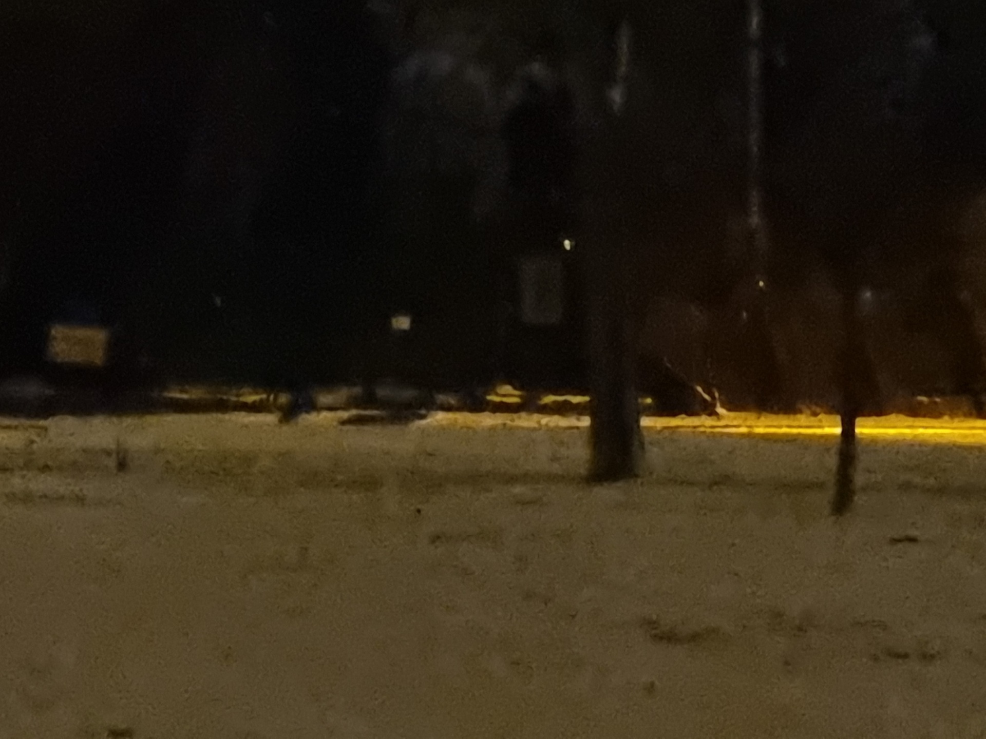 Samsung Galaxy S21 Ultra