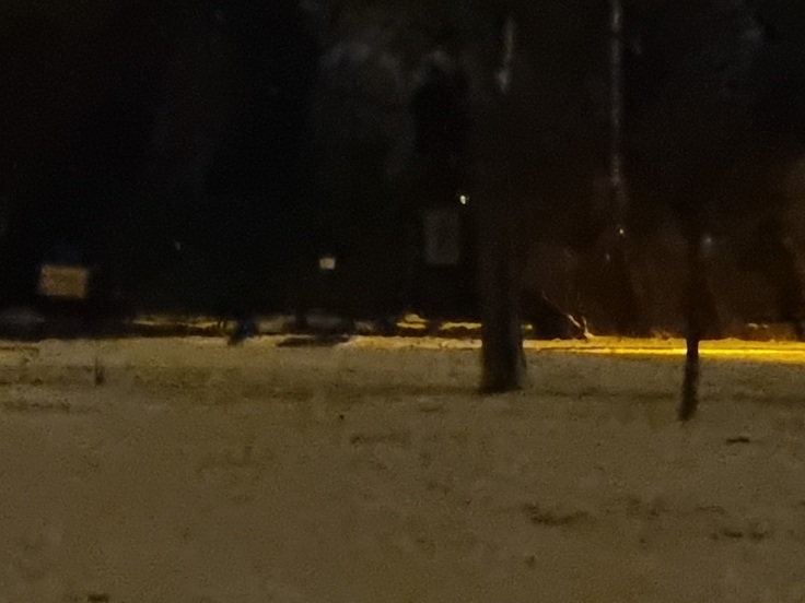 Samsung Galaxy S21 Ultra