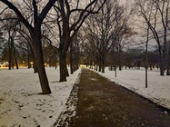 Samsung Galaxy S21 Ultra