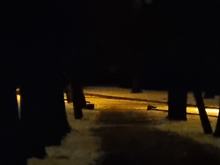 Samsung Galaxy S21 Ultra