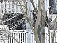 Samsung Galaxy S21 Ultra