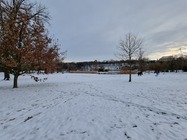 Samsung Galaxy S21 Ultra