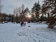 Samsung Galaxy S21 Ultra