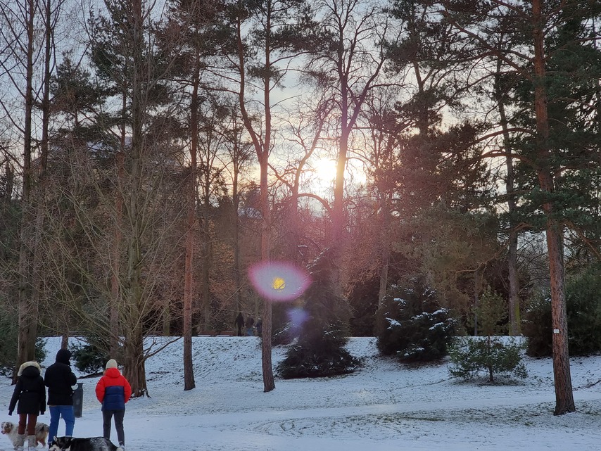 Samsung Galaxy S21 Ultra