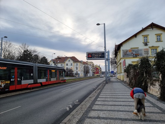 Samsung Galaxy S21 Ultra