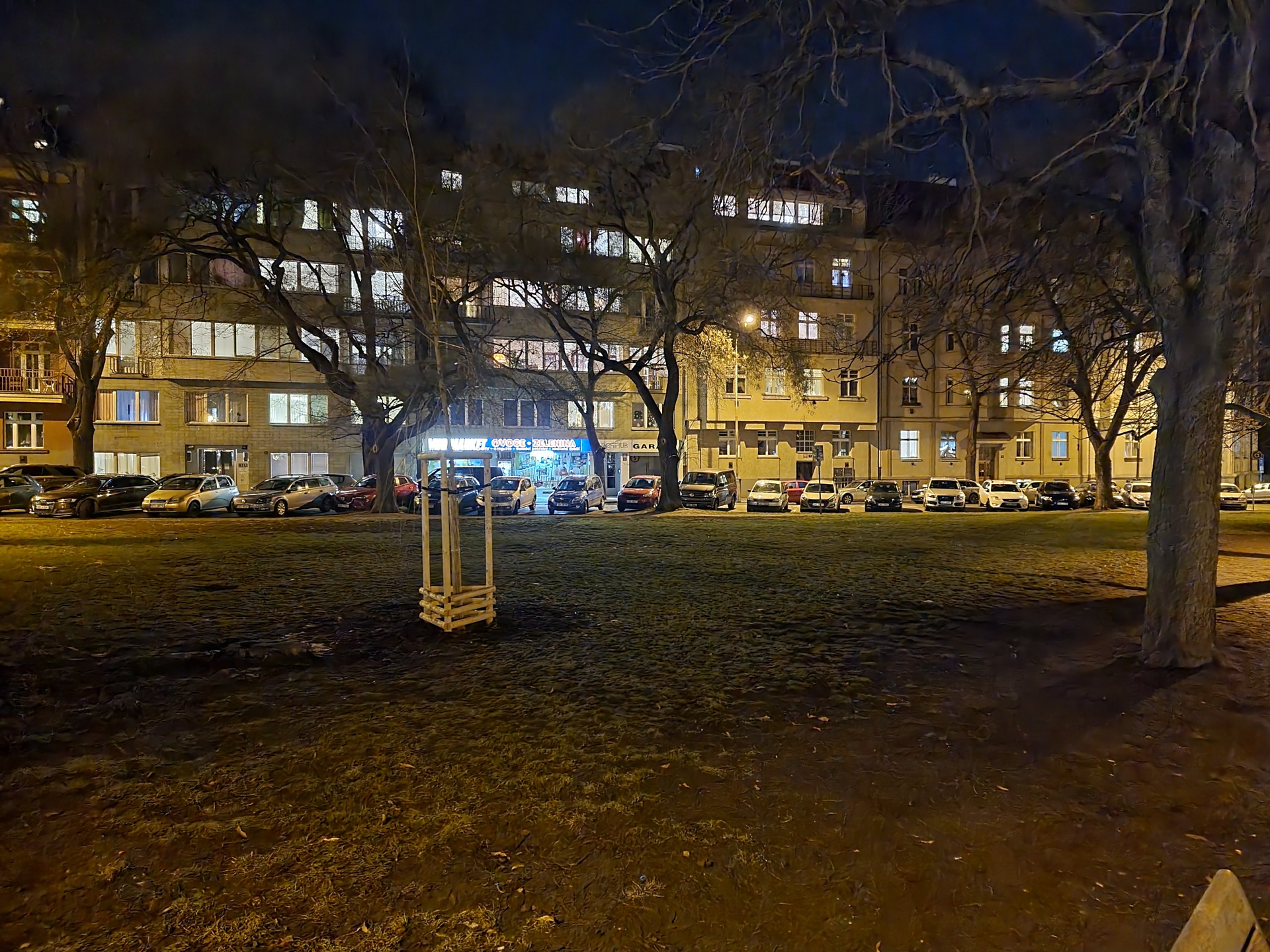 Samsung Galaxy S21 Ultra