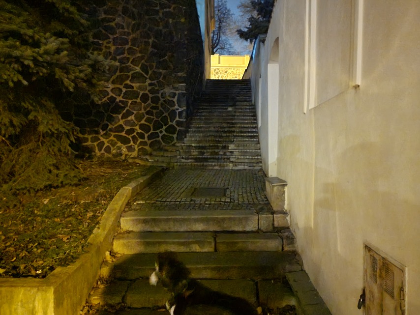 Samsung Galaxy S21 Ultra