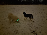 Samsung Galaxy S21 Ultra