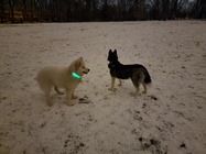 Samsung Galaxy S21 Ultra