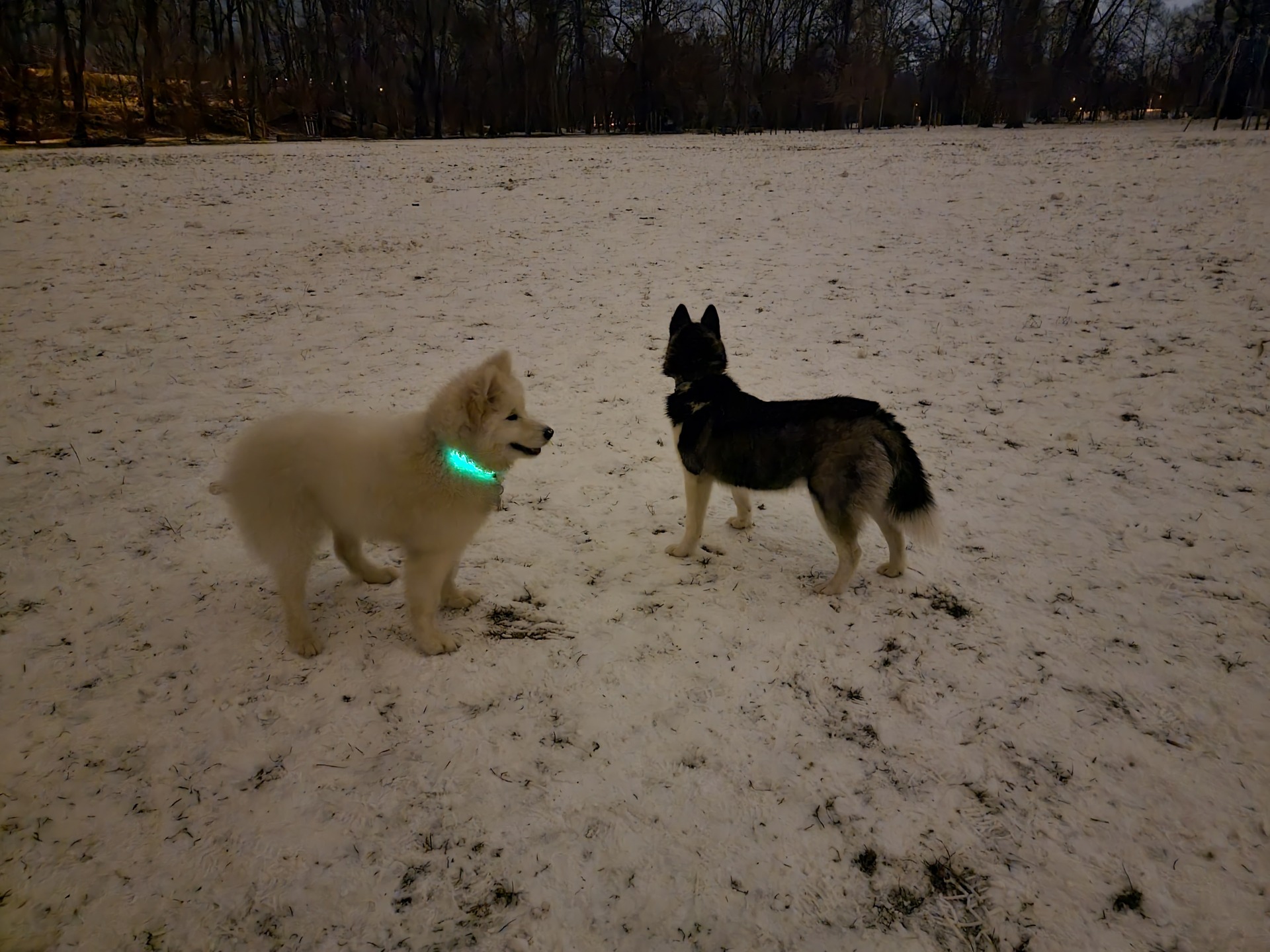 Samsung Galaxy S21 Ultra