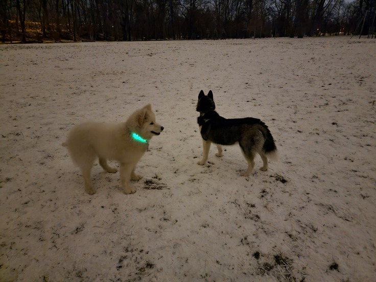 Samsung Galaxy S21 Ultra