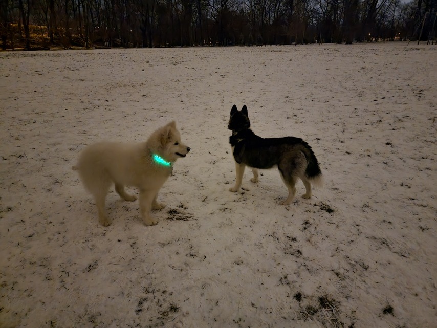 Samsung Galaxy S21 Ultra