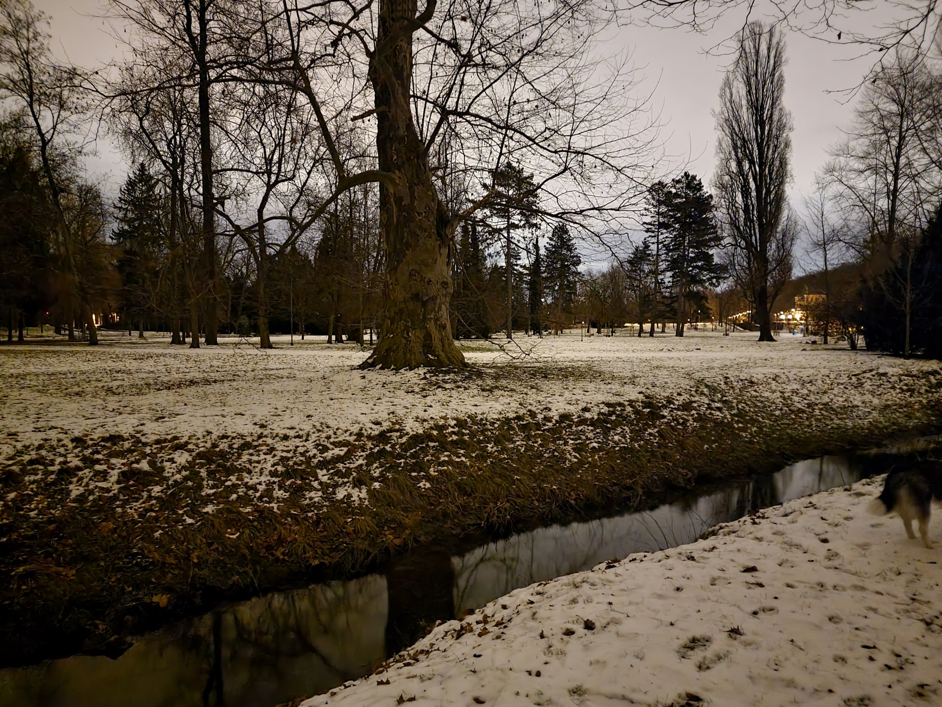 Samsung Galaxy S21 Ultra