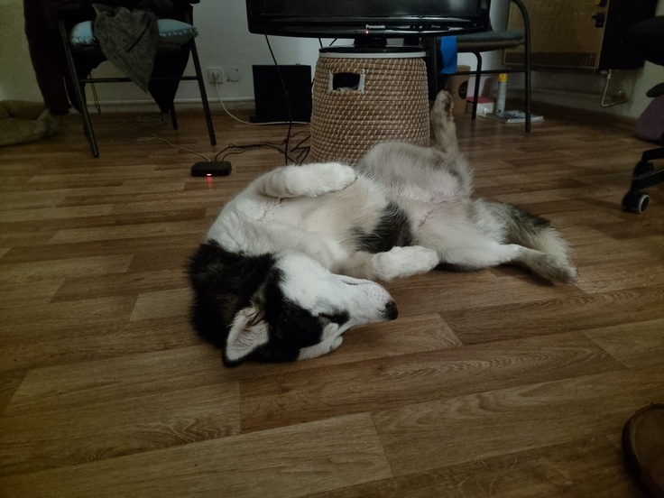 Samsung Galaxy S21 Ultra