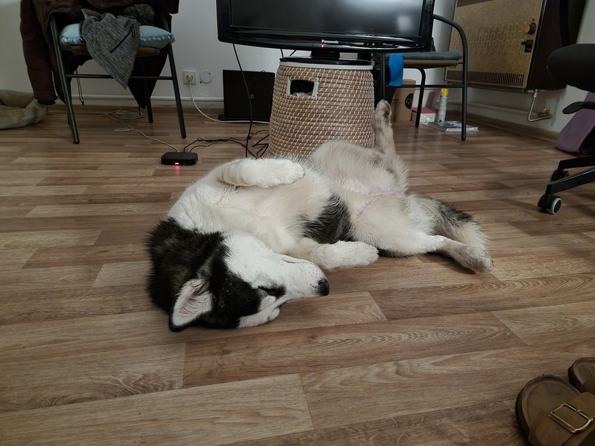 Samsung Galaxy S21 Ultra