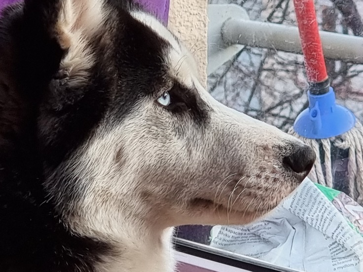 Samsung Galaxy S21 Ultra