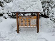 Samsung Galaxy S21 Ultra