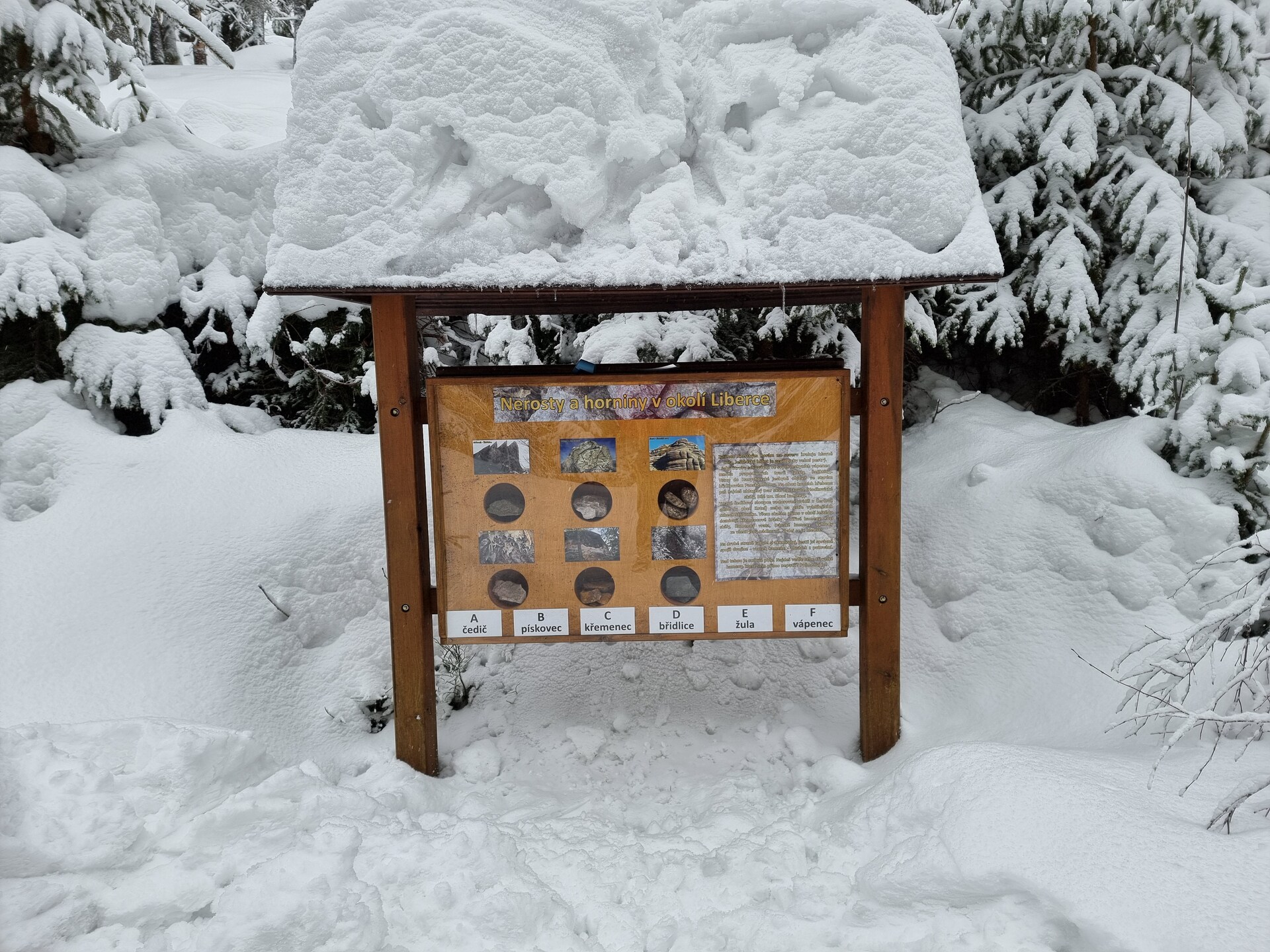 Samsung Galaxy S21 Ultra