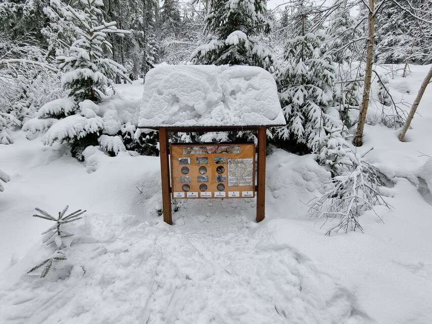 Samsung Galaxy S21 Ultra