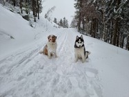 Samsung Galaxy S21 Ultra