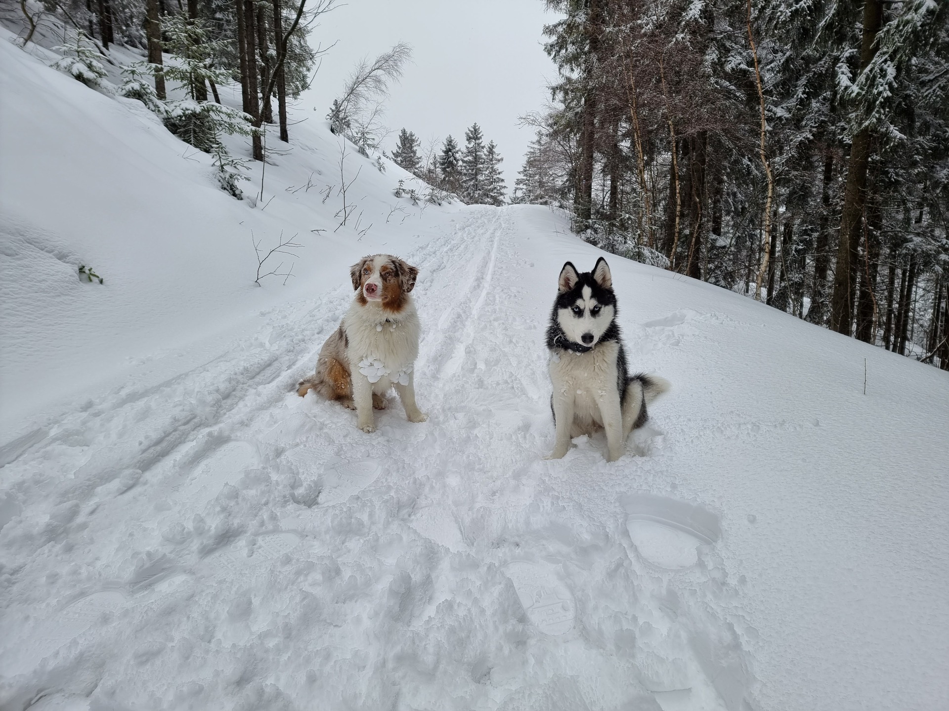 Samsung Galaxy S21 Ultra