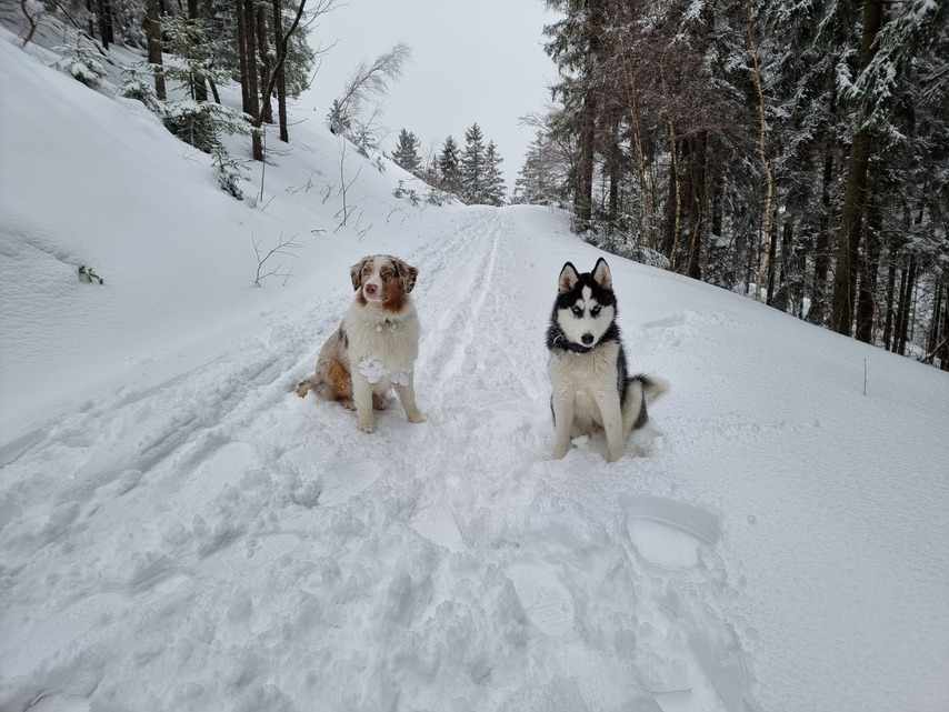 Samsung Galaxy S21 Ultra