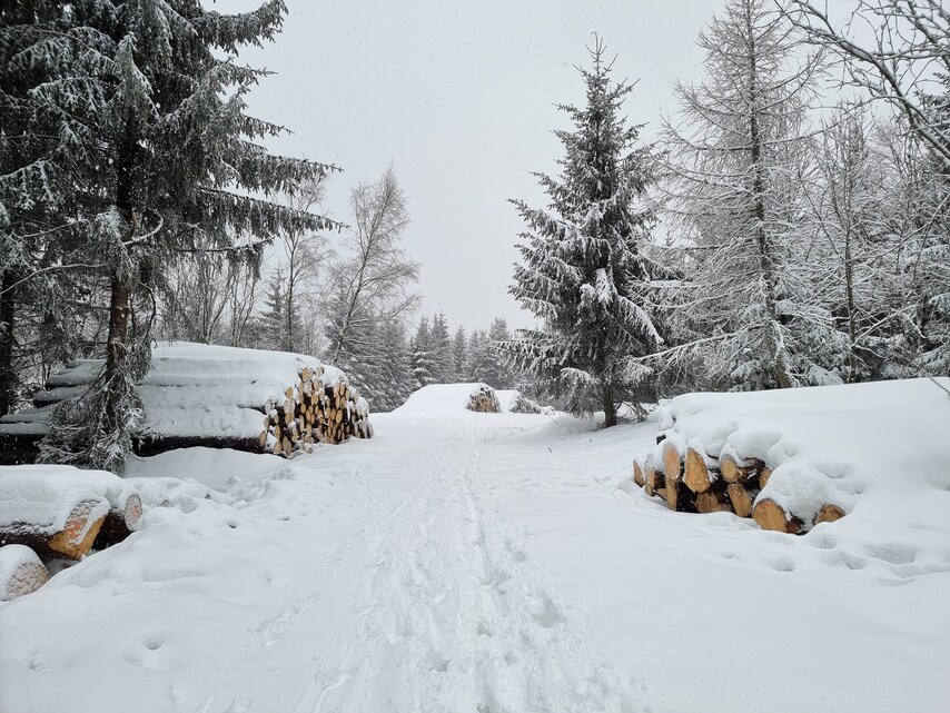 Samsung Galaxy S21 Ultra