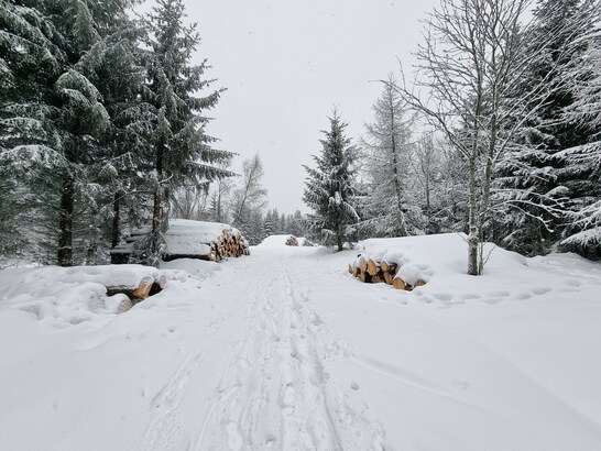 Samsung Galaxy S21 Ultra