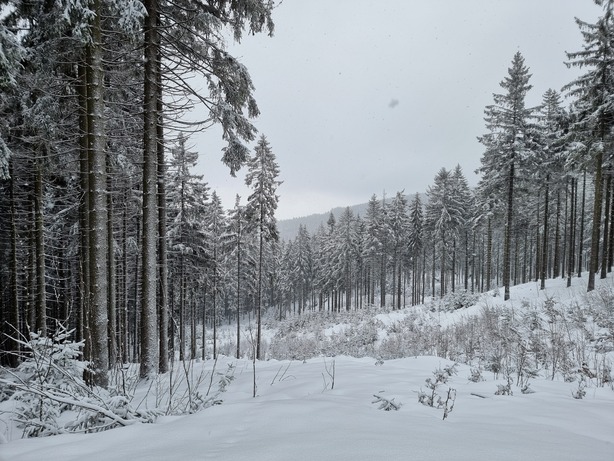 Samsung Galaxy S21 Ultra