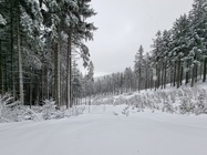 Samsung Galaxy S21 Ultra