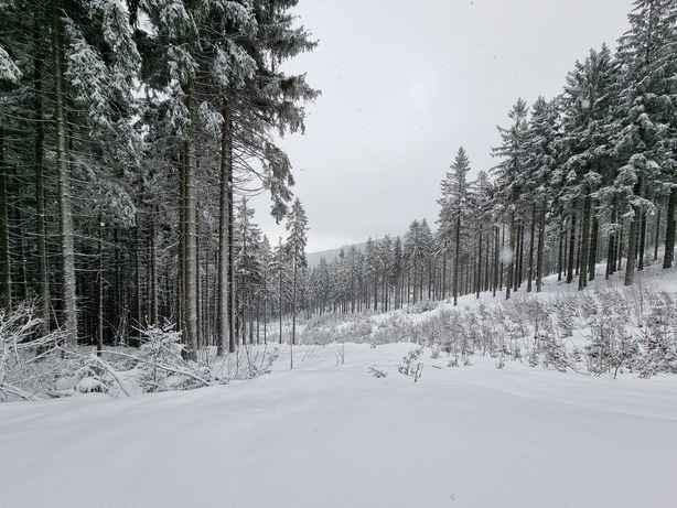 Samsung Galaxy S21 Ultra