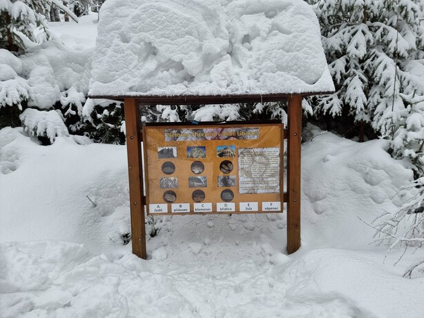 Samsung Galaxy S21 Ultra