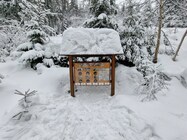 Samsung Galaxy S21 Ultra