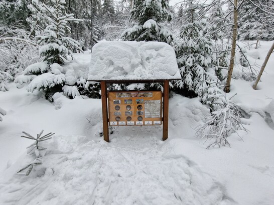 Samsung Galaxy S21 Ultra