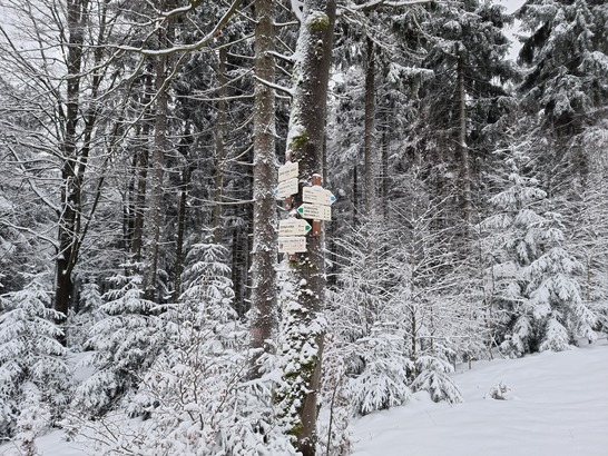 Samsung Galaxy S21 Ultra