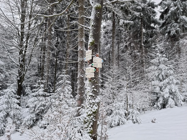 Samsung Galaxy S21 Ultra