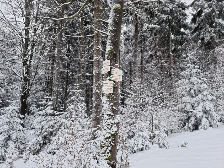 Samsung Galaxy S21 Ultra