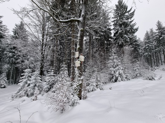 Samsung Galaxy S21 Ultra