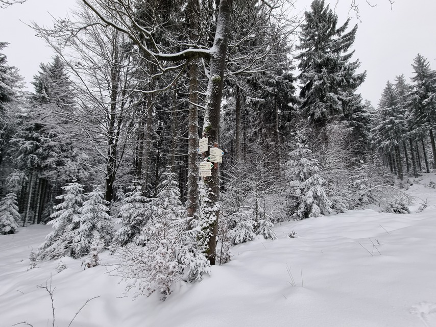 Samsung Galaxy S21 Ultra