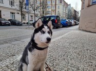 Samsung Galaxy S21 Ultra