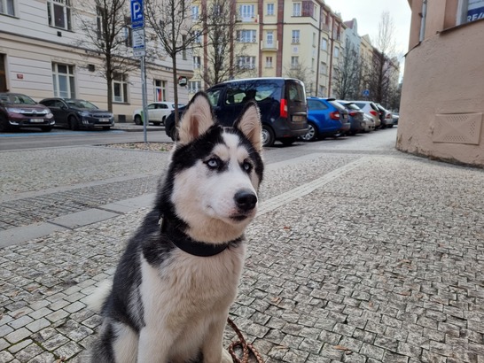 Samsung Galaxy S21 Ultra