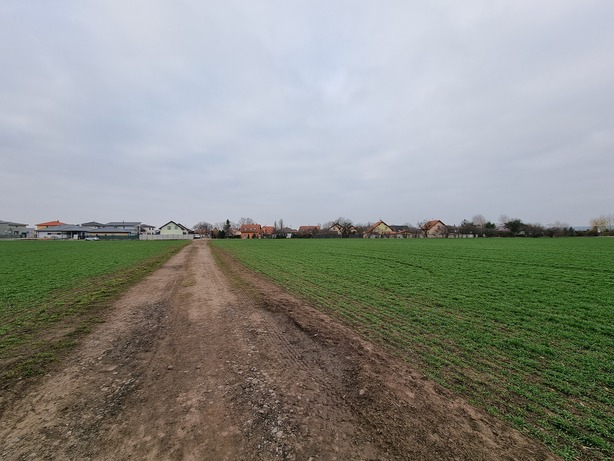 Samsung Galaxy S21 Ultra