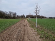 Samsung Galaxy S21 Ultra