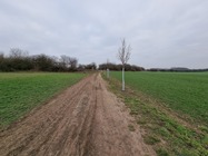 Samsung Galaxy S21 Ultra