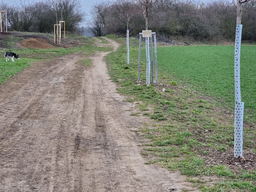 Samsung Galaxy S21 Ultra