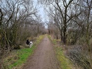 Samsung Galaxy S21 Ultra