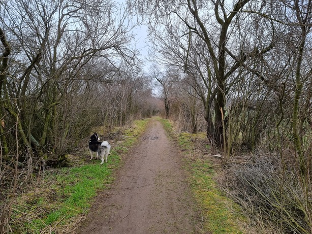 Samsung Galaxy S21 Ultra