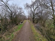 Samsung Galaxy S21 Ultra